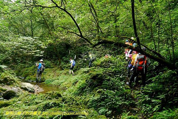 P1780617.jpg P1780617.jpg