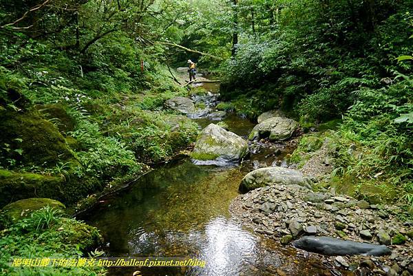 P1780618.jpg P1780618.jpg