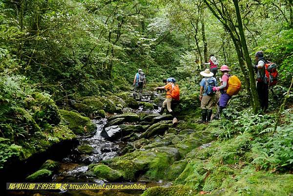 P1780619.jpg P1780619.jpg