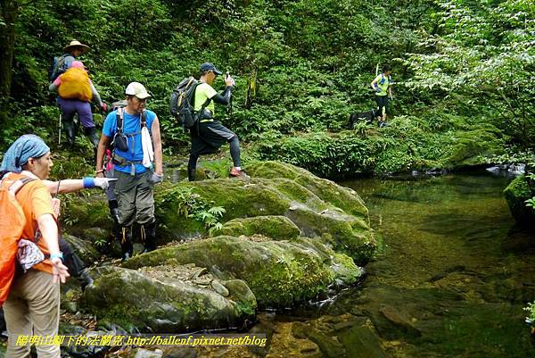 P1780621.jpg P1780621.jpg