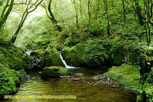 P1780627.jpg P1780627.jpg