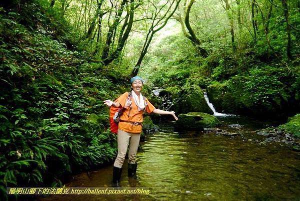 P1780628.jpg P1780628.jpg