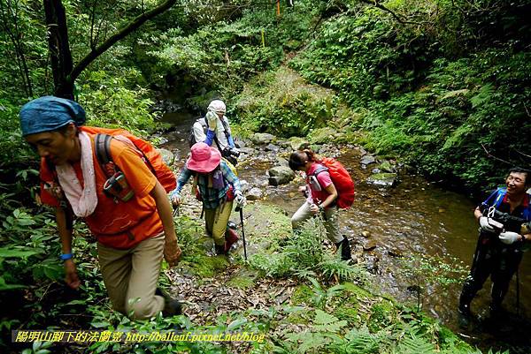 P1780631.jpg P1780631.jpg