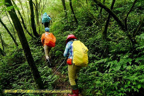 P1780632.jpg P1780632.jpg