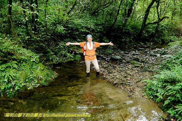 P1780635.jpg P1780635.jpg