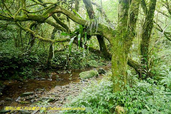 P1780636.jpg P1780636.jpg