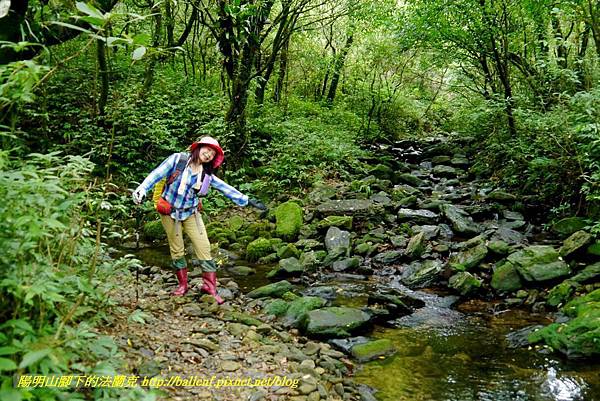 P1780638.jpg P1780638.jpg