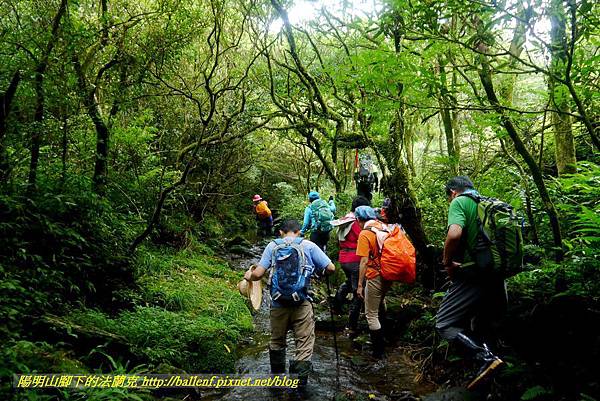 P1780640.jpg P1780640.jpg