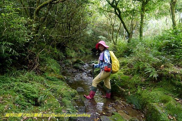 P1780641.jpg P1780641.jpg