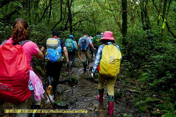 P1780645.jpg P1780645.jpg