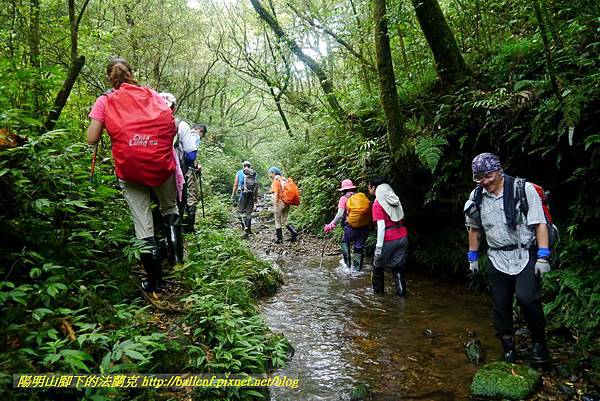 P1780646.jpg P1780646.jpg