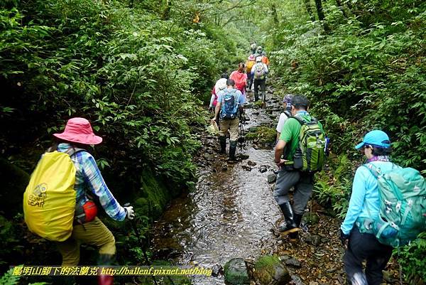 P1780647.jpg P1780647.jpg