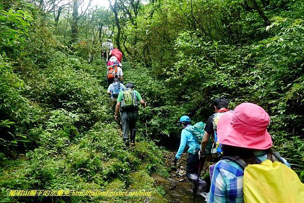 P1780650.jpg P1780650.jpg