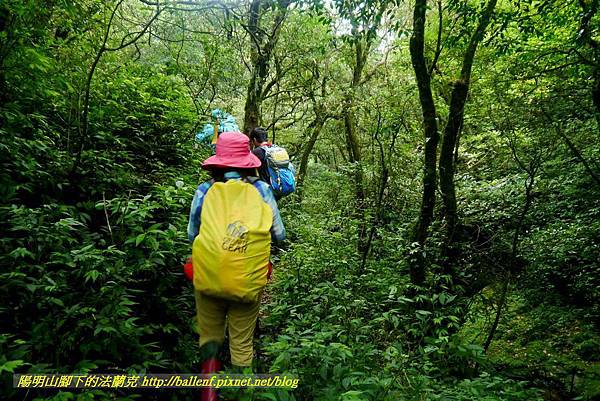 P1780651.jpg P1780651.jpg