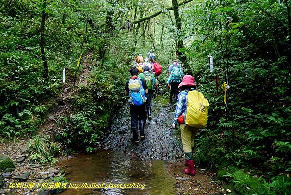 P1780652.jpg P1780652.jpg