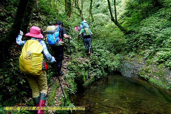 P1780653.jpg P1780653.jpg