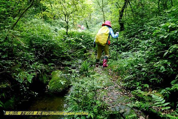 P1780654.jpg P1780654.jpg