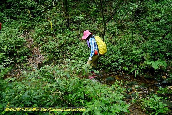 P1780655.jpg P1780655.jpg