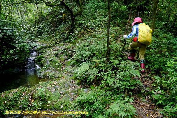 P1780656.jpg P1780656.jpg