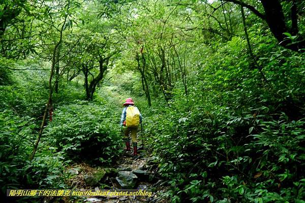 P1780657.jpg P1780657.jpg