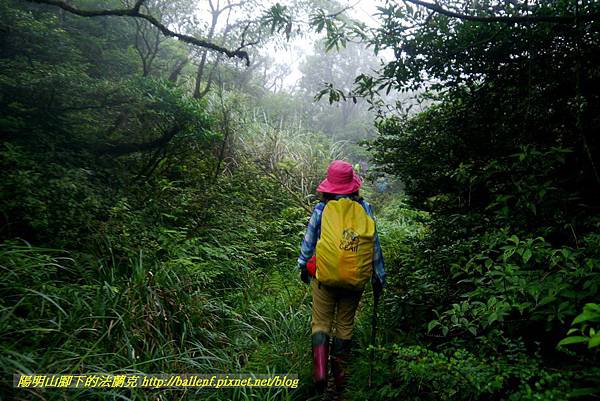 P1780658.jpg P1780658.jpg