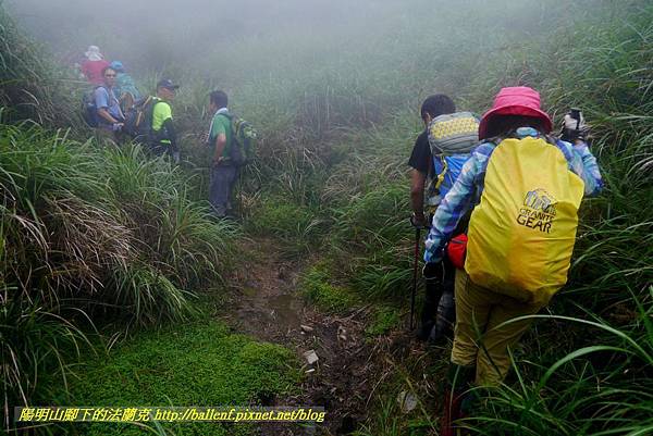 P1780659.jpg P1780659.jpg