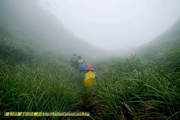 P1780661.jpg P1780661.jpg