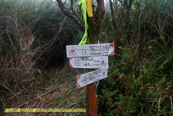 P1780663.jpg P1780663.jpg