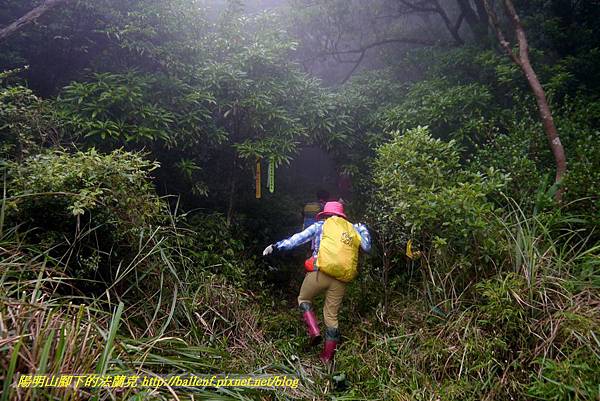 P1780664.jpg P1780664.jpg