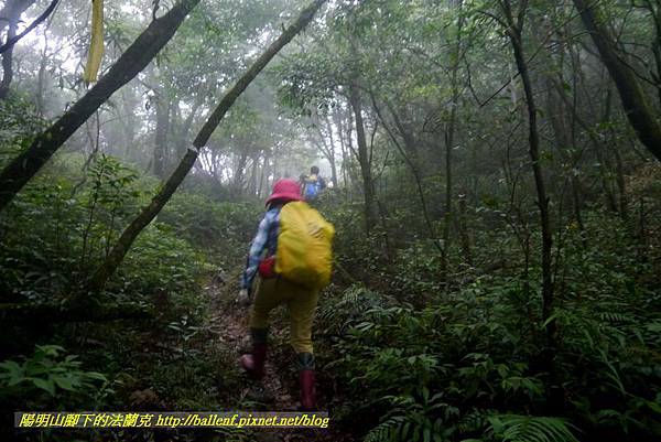 P1780665.jpg P1780665.jpg