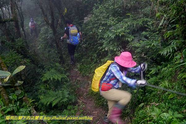 P1780666.jpg P1780666.jpg