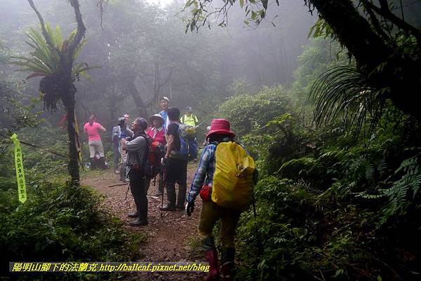 P1780667.jpg P1780667.jpg