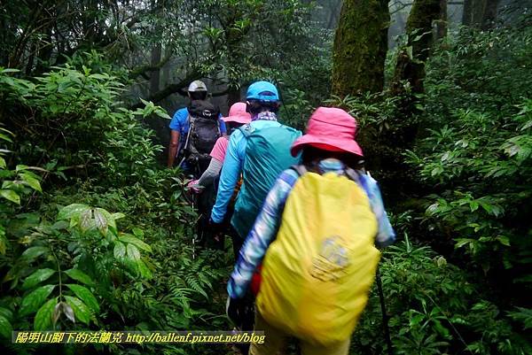 P1780673.jpg P1780673.jpg