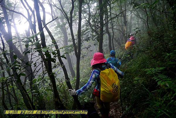 P1780674.jpg P1780674.jpg