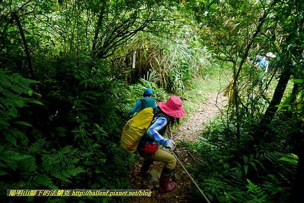 P1780677.jpg P1780677.jpg