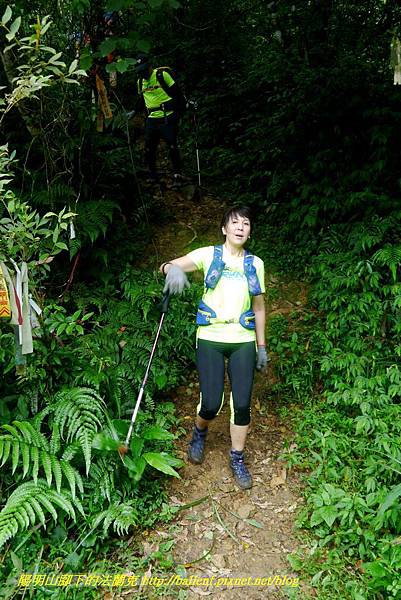 P1780679.jpg P1780679.jpg