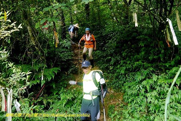 P1780680.jpg P1780680.jpg