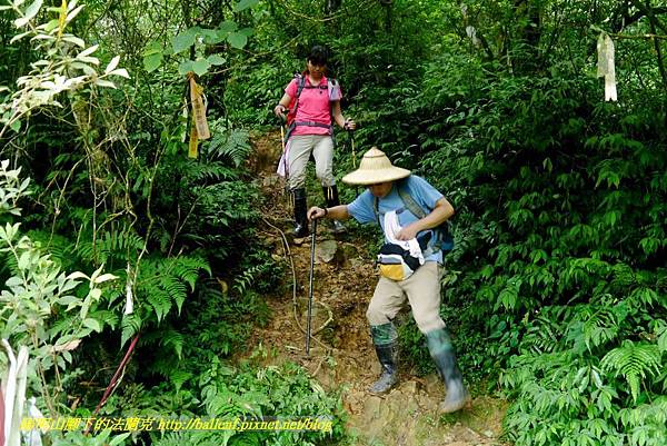 P1780681.jpg P1780681.jpg