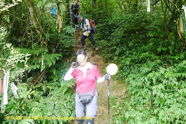 P1780683.jpg P1780683.jpg