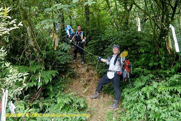 P1780684.jpg P1780684.jpg