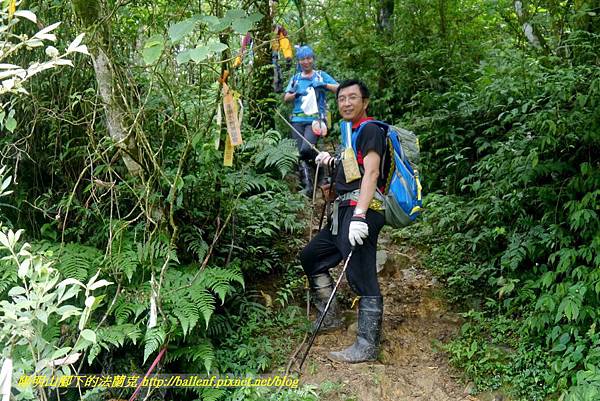 P1780685.jpg P1780685.jpg