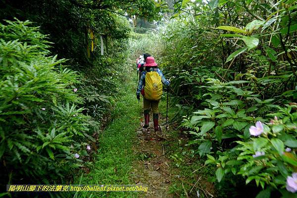 P1780687.jpg P1780687.jpg