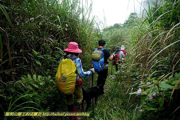 P1780688.jpg P1780688.jpg