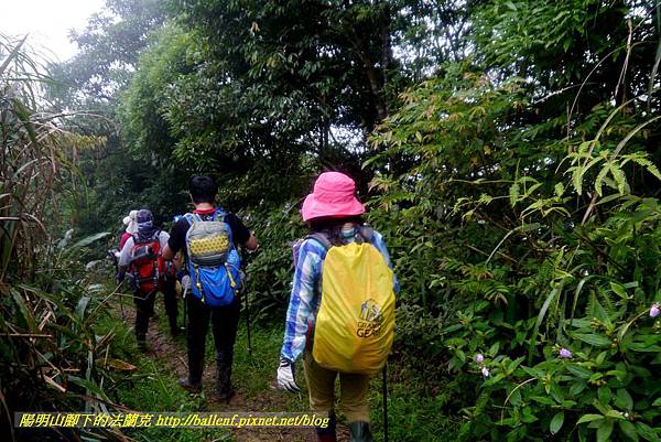 P1780689.jpg P1780689.jpg