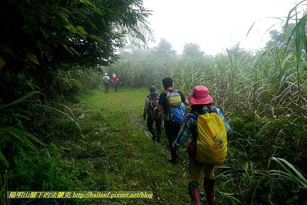 P1780690.jpg P1780690.jpg