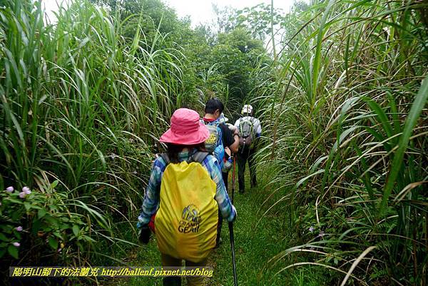 P1780691.jpg P1780691.jpg