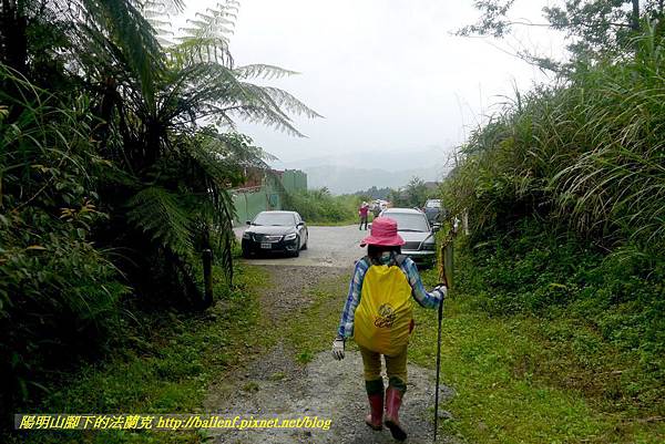 P1780693.jpg P1780693.jpg