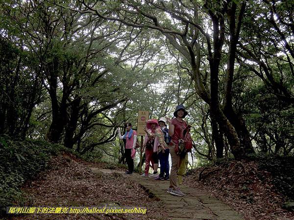 DSCN9047.jpg DSCN9047.jpg