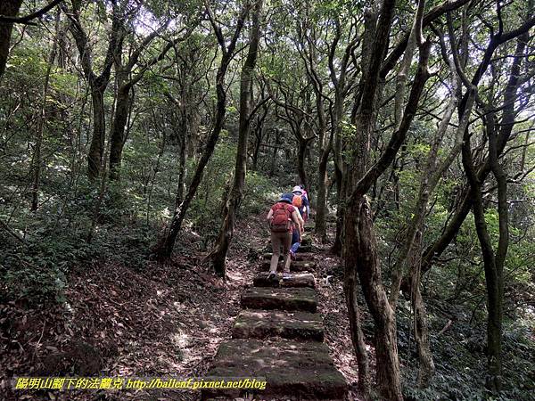 DSCN9050.jpg DSCN9050.jpg