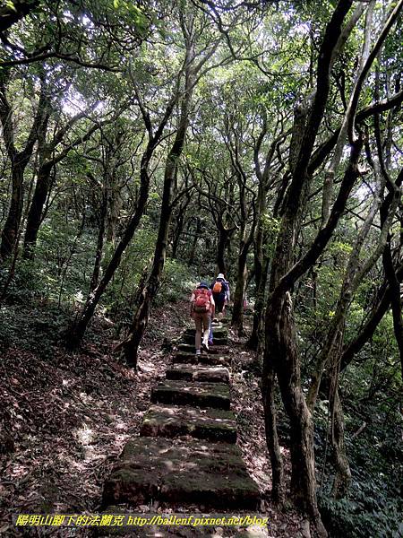 DSCN9051.jpg DSCN9051.jpg